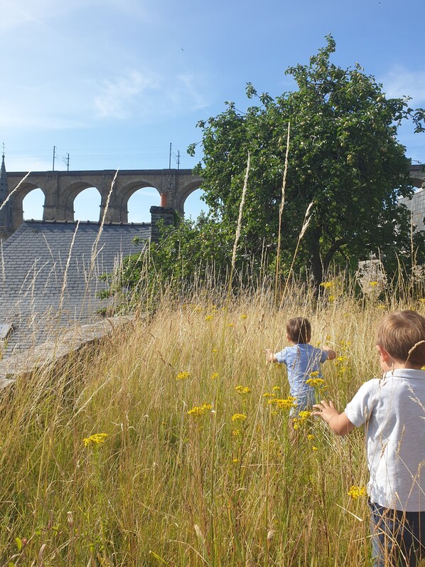 Vue du deuxième jardin : le pommier et le viaduc de Morlaix.