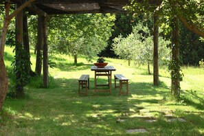 Plant, Natural Environment, Tree, Shade, Natural Landscape, Table, Land Lot, Outdoor Furniture, Outdoor Table, Grass