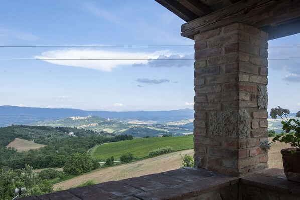 Sky, Cloud, Property, Azure, Plant, Tree, Wood, Rural Area, Landscape, Horizon