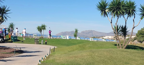 Golf