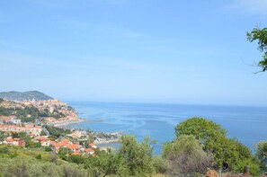 Beach/ocean view