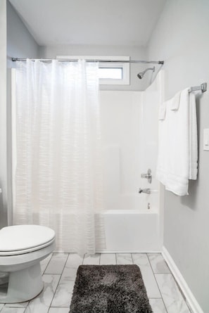 Private Shower - Tub / Toilet Area