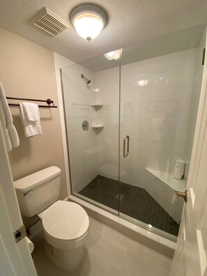 5-203 Master Shower