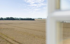 Vue depuis l’hébergement