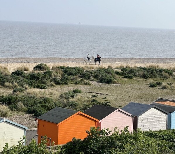 Strand