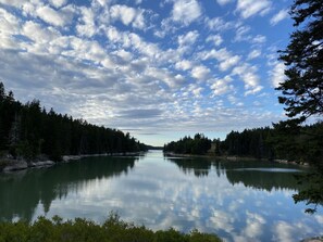 Amazing View of the Cove