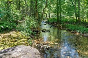 Reel Medicine sits on The Banks of Big Creek