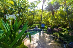 Palms swaying in the light tropical breezes.