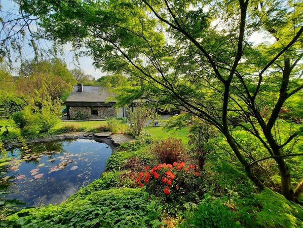 Jardin arboré avec pièce d'eau