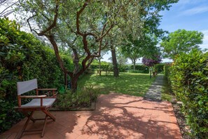 Autumn, Garden, Spring, Summer