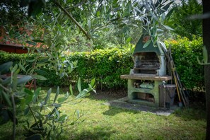 Autumn, Garden, Spring, Summer