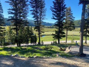 View from the house creek meadow view