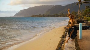 Breathtaking view of the world's tallest sea cliffs from the home's very own enclosed private beach with stairs. All the Jurassic Park movies were filmed here in this very same backdrop of the home