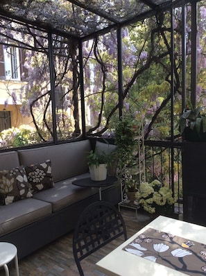 Wisteria blossoming on the terrace in April. 