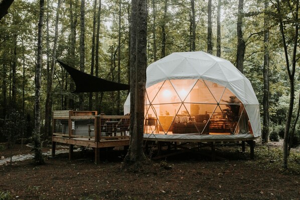 Domes are nestled into a natural park-like setting.