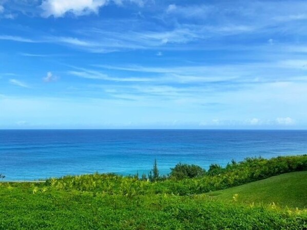 View from Master & Guest Bedroom