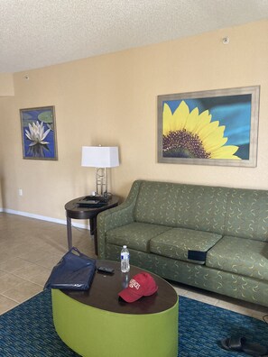 Example living area