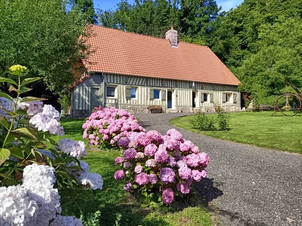 Front view