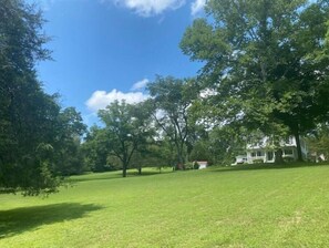 Plenty of room to run and play! Apartment is on other side of house.