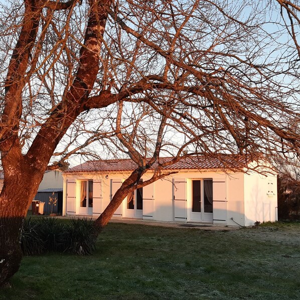 Extérieur