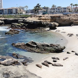 Oceanfront Location