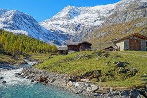 Immediate Surroundings [summer] (&lt;1 km)