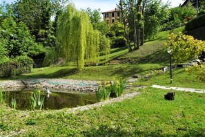 Trädgård [sommar]