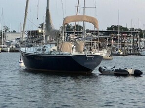 C and C 33 (2)