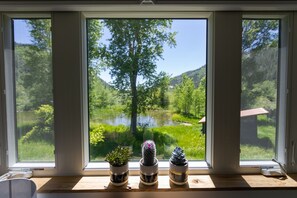 Plenty of windows for natural light