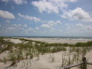 Strand