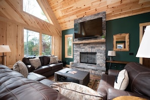 Main Level Living area to enjoy a movie or music fireside!