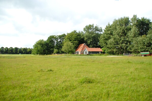 Außenseite Ferienhaus [Sommer]