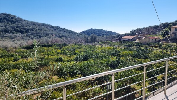 Vista a la montaña