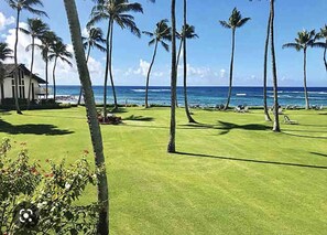Kiahuna Lawn View