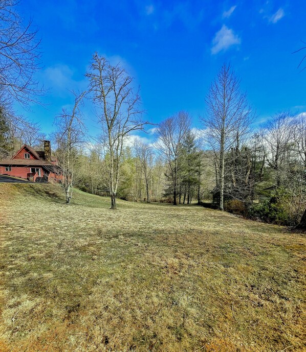 Creekfront Mountain View cabin on over 2 1/2 acres.