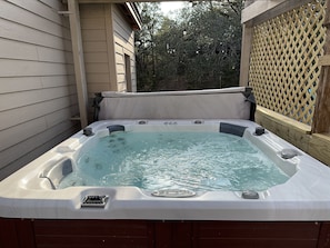 The 7 person hot tub.