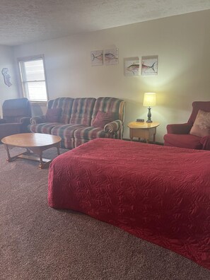 1 twin bed in living room area