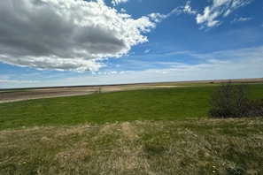 Boendeområde