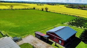 Blick auf die große grüne freie Wiese zur Rapsblüte