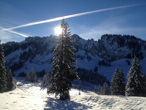 Snow and ski sports