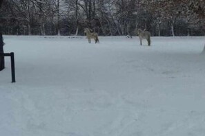 Deportes de invierno