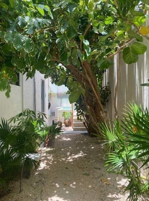 Property grounds