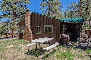 Niwot Cabin - Backyard with grill and picnic table