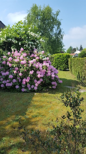 Boendeområde
