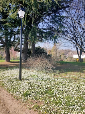 Boendeområde