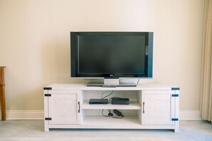 Television