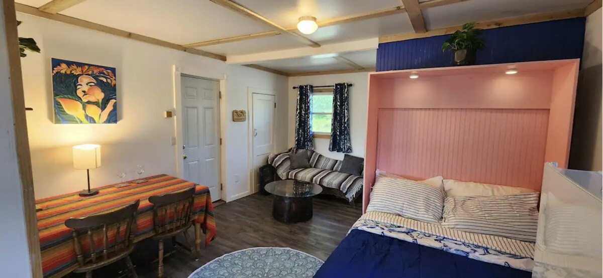 Stunning Lake View Studio along the Serene Seneca Wine Trail
