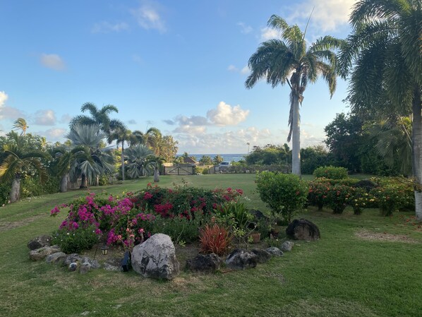 View from the front porch. 