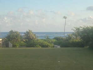 View from the porch
