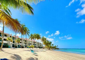  Beachfront! 🏝️